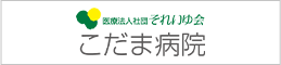 こだま病院