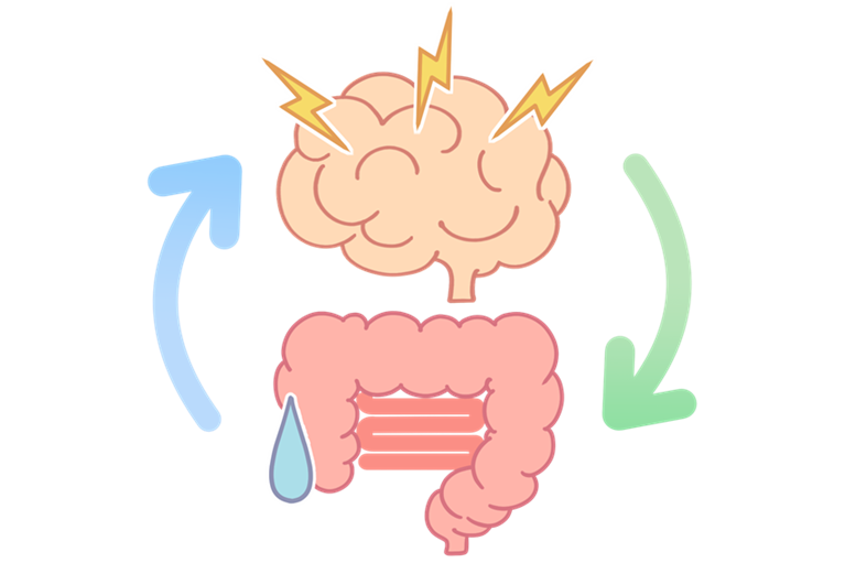脳腸相関とは｜脳と腸はつながっている